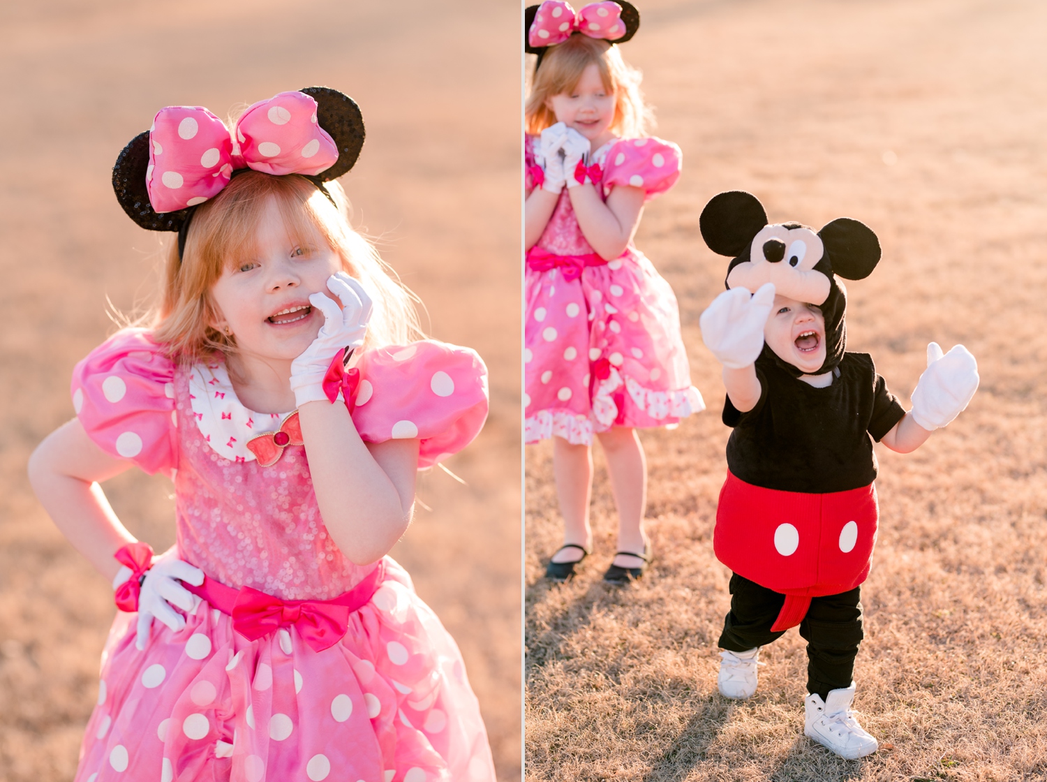 Mickey and Minnie Mouse Halloween Costumes