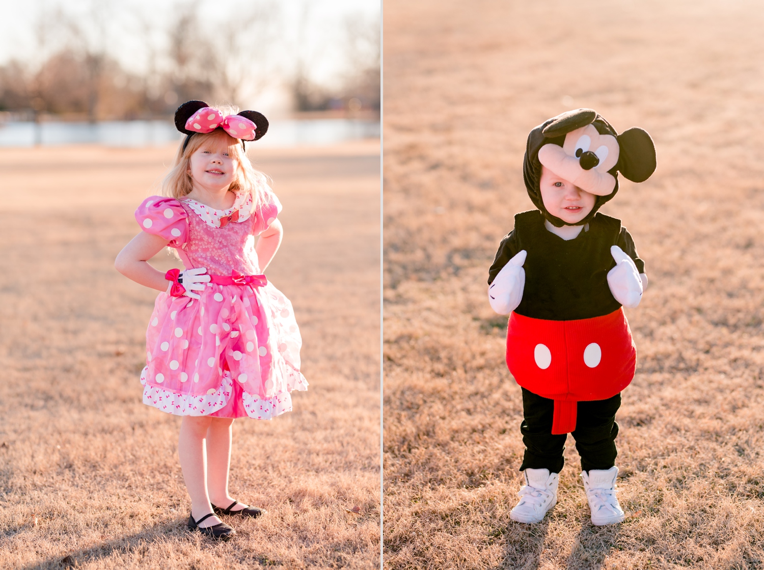 Mickey and Minnie Mouse Halloween Costumes